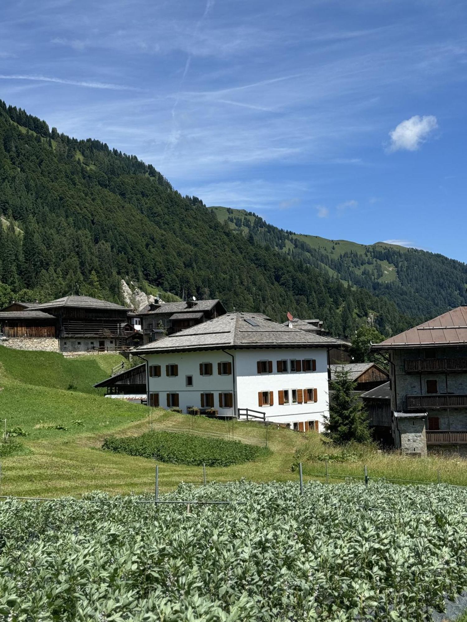 Neider Hotel - Alpine Retreat เซาริส ภายนอก รูปภาพ
